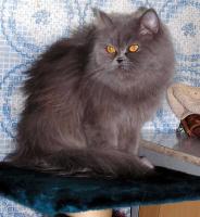 Смотрим вдаль....