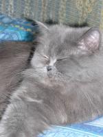 Так приятно лежать, закрыв глаза...