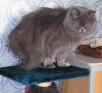 Прыгнуть-не прыгнуть?