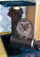 А что это там такое?